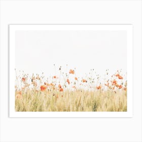 Red Poppy Flower Field Art Print