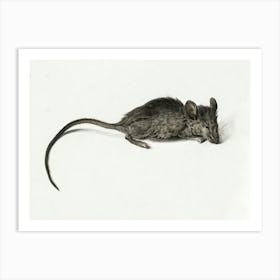 Mouse 1, Jean Bernard Art Print