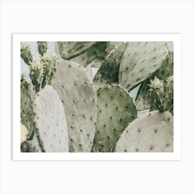 Muted Green Cactus Art Print