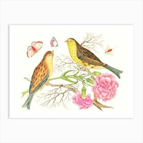 Two Birds On A Branch Art Print