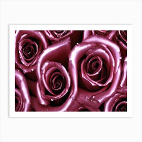 Purple Roses 3 Art Print