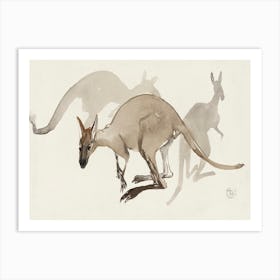 Kangaroos (1873–1917),Theo Van Hoytema Art Print