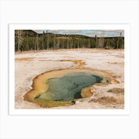 Prismatic Spring Art Print