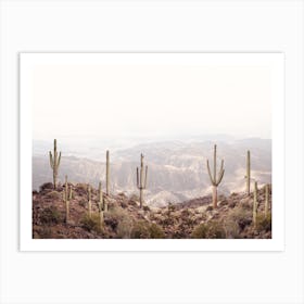 Cactus Desert Art Print