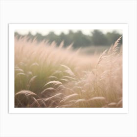 A Gentle And Airy Image Of A Field Of Tall, Feathery Grass With A Soft, Warm Glow Art Print