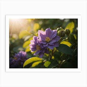 Purple Flowers In The Sun Art Print