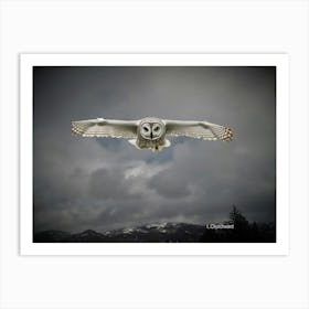 Owl flying Art Print