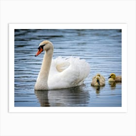 Swan With A Distinctive Beak Nested Beside A Serene Mirror Like Lake Bewitching Eyelashes Adornin (1) Art Print