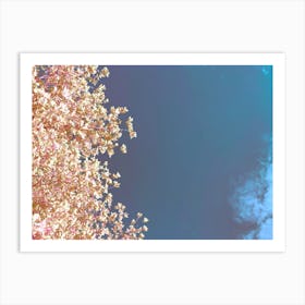 Leaves And Sky Art Print