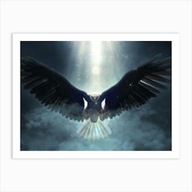 Eagle In Flight 1 Art Print