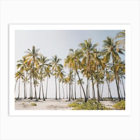 Summer Palm Trees Art Print