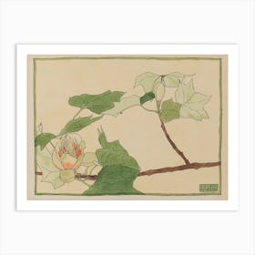 Tulip Tree, Hannah Borger Overbeck Art Print