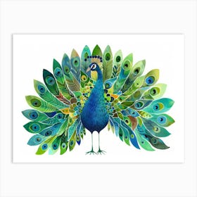 Peacock 17 Art Print