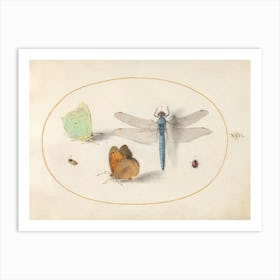 Two Butterflies, A Dragonfly, And Two Small Insects (C Art Print