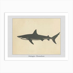 Pelagic Thresher Shark Grey Silhouette 2 Poster Art Print