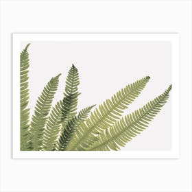 Fern Leaf Art Print