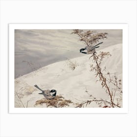 Two Birds Perched On A Branch 3 Art Print