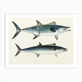 Vintage Two Tunas Art Print