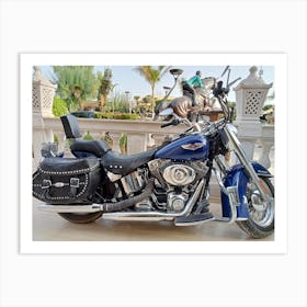 Harley-Davidson Softail Art Print