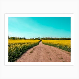 Canola Fields Under The Sun 02 Art Print