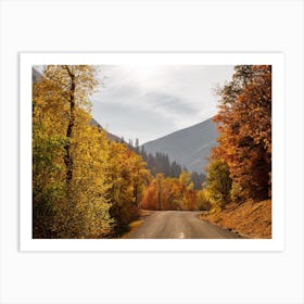 Colorado Dirt Road Art Print