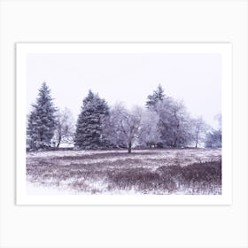 Winter Landscape in Winterberg Art Print