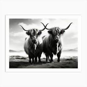 Highland Cows 3 Art Print