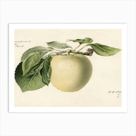 Apple 2 Art Print