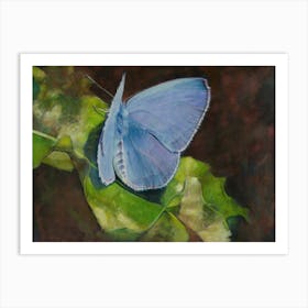 Butterfly Art Print