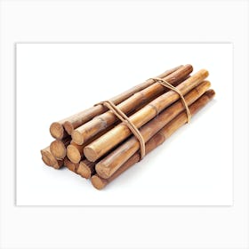 Bamboo Sticks 1 Art Print