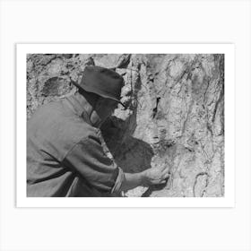 Prospector Taking A Sample Of Dirt From Creek Bed Which Contains Scattered Gold, Pinos Altos, New Mexico B Art Print