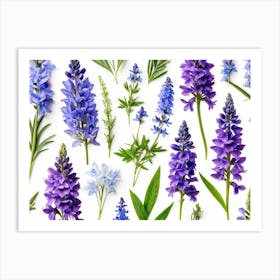 Nature Pattern Isolate White Arrangement Purple Flat Floral Blue Natural Herbal Medicine (1) 2 Art Print