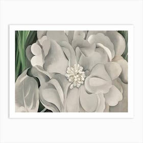 Georgia O'Keeffe - The White Calico Flower Art Print