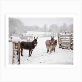 Donkeys In Snow Art Print