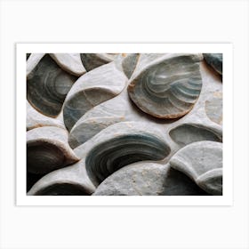 Sea Shell Detail No 5 Art Print