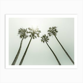 Lovely Vintage Palm Trees In The Sun Art Print