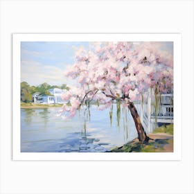 Cherry Blossoms By The Water Art Print