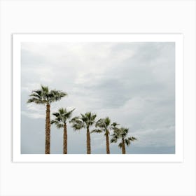 Five Palm Trees On The Beach In Italy Art Print