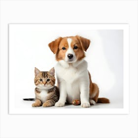 Dog And Cat 12 Art Print