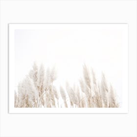 Pampas Grass In Wind Art Print