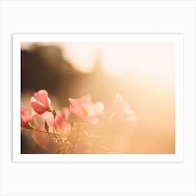 Sunshine All Around Floral Art Print