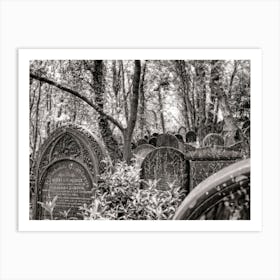 Wardsend Cemetery 06 (2010) Art Print