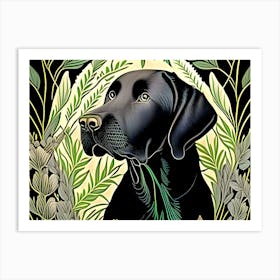 Black Labrador Retriever Art Print