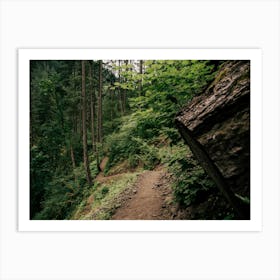 Forest Trail II 1 Art Print