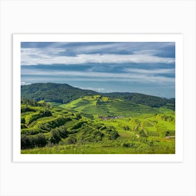 Vineyards In The Mountains 1 Art Print