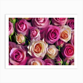 Pink & White Roses Art Print