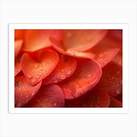 Close Up Of Flower Petals Reality Art Print