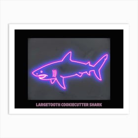 Neon Pink Largetooth Cookiecutter Shark 3 Poster Art Print