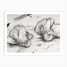 Two Mushrooms Art Print