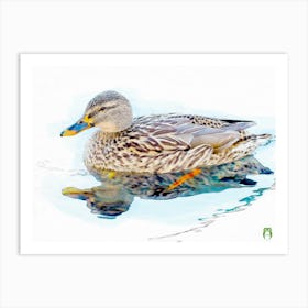 Mallard Duck 20220101 134rt1ppub Art Print